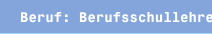 Beruf: Berufsschullehrer