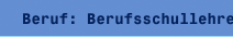 Beruf: Berufsschullehrer